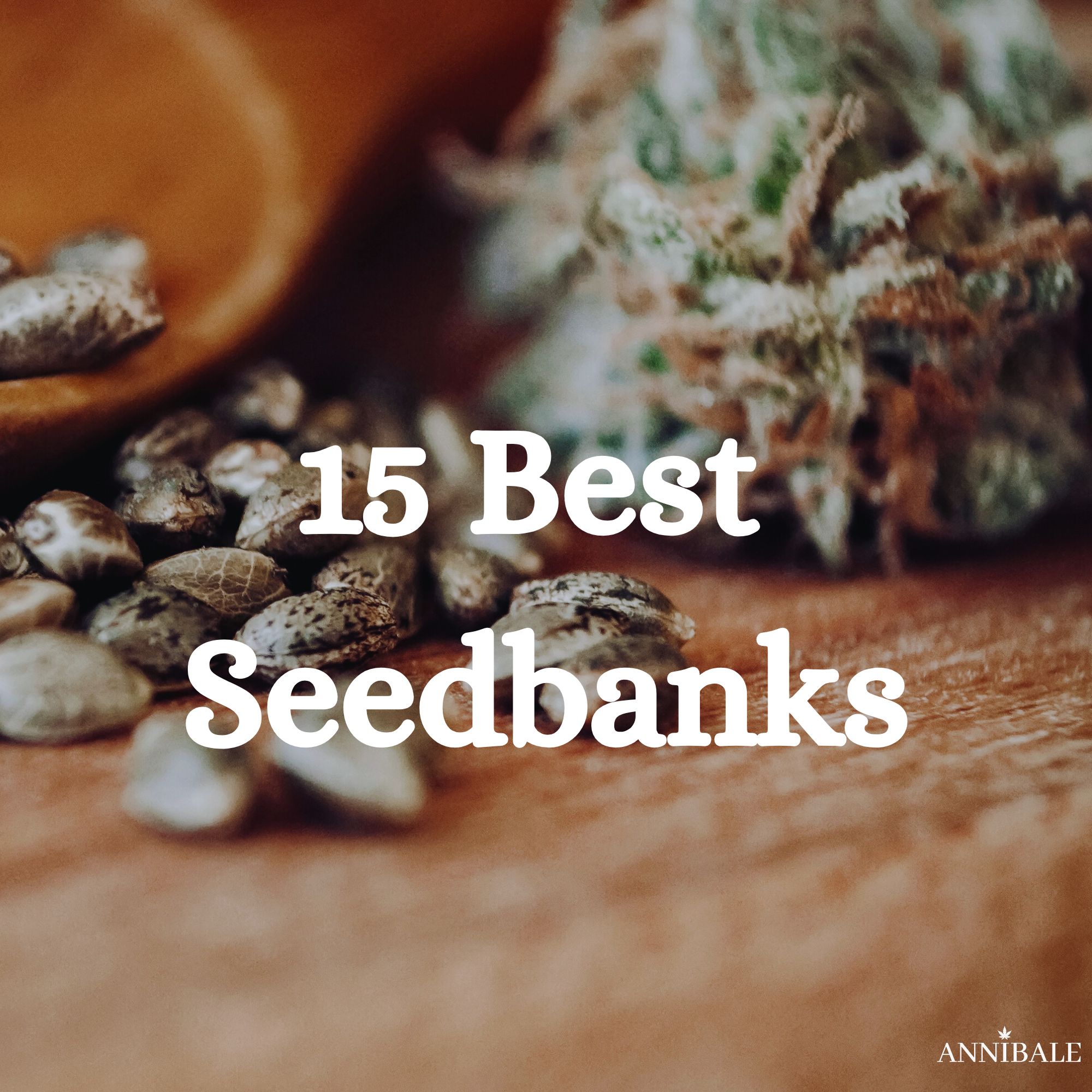 15 Best Cannabis Seed Banks 2026