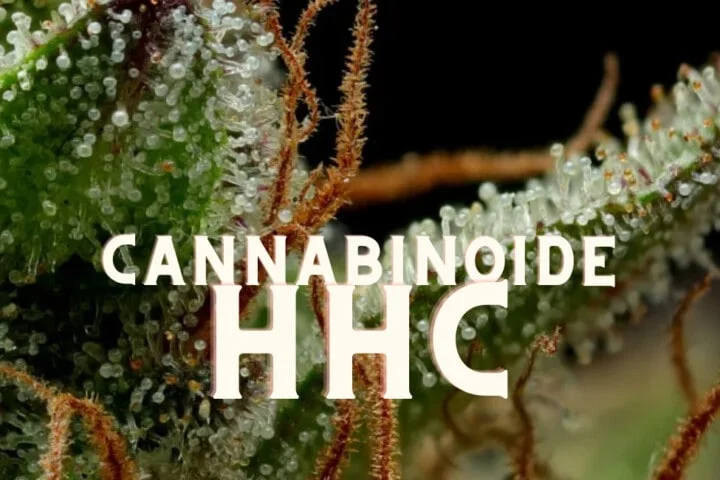 HHC Cannabinoide Marijuana