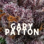 Gary Payton Taste Story Price Seeds