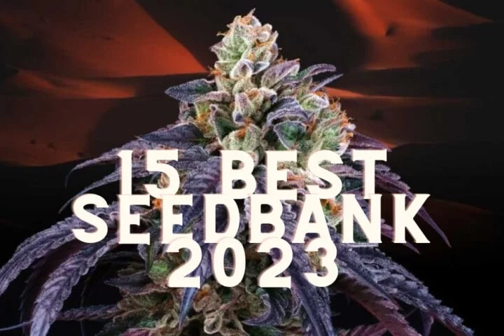 Top 15 Best Cannabis Seed Banks 2023