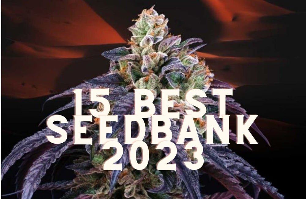 Top 15 Best Cannabis Seed Banks 2023