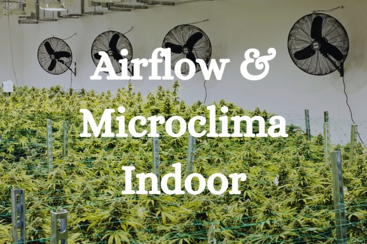 Airflow Microclima Indoor Cannabis