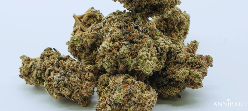 jealousy Cannabis Cime